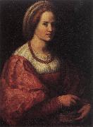 Andrea del Sarto Portrait of a Woman with a Basket of Spindles China oil painting reproduction